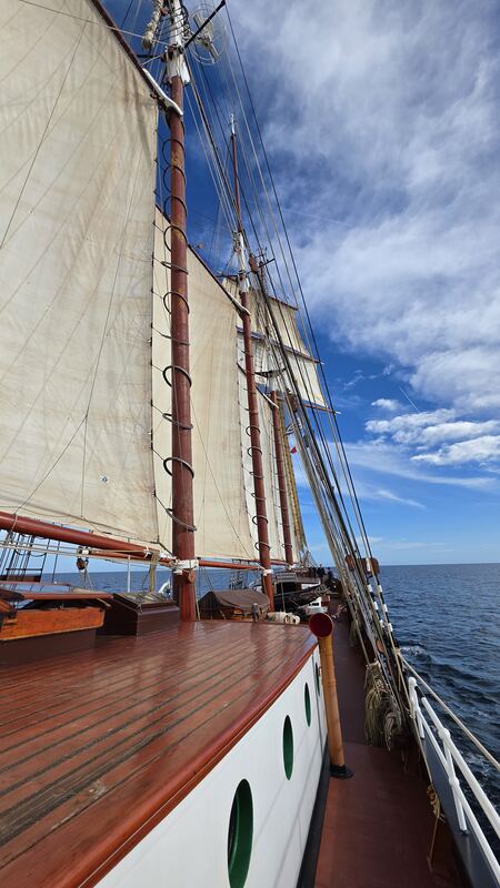 All fore-and-aft sail set