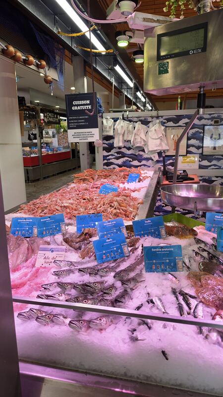 The fish hall, Concarneau