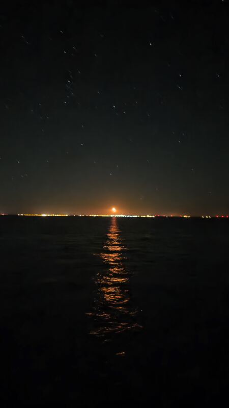 Moonrise over the shore lights, stars out