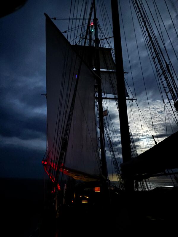 Night watch, moon behind thin cloud